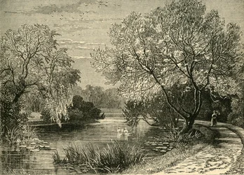 The Botanical Gardens, Regents Park