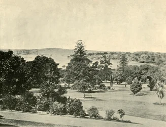 The Botanical Gardens of Sydney