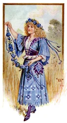 The Cornflower