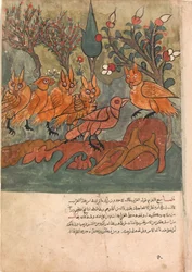 The Crow Spy Talks to the King of the Owls and His Ministers