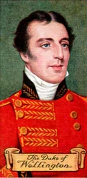 The Duke of Wellington, from a Series of Cigarette Cards