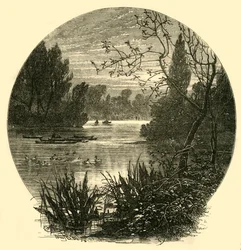 The Lake, Battersea Park