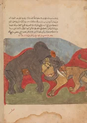 The Lion and the Elephant Fighting, Folio from a Kalila wa Dimna