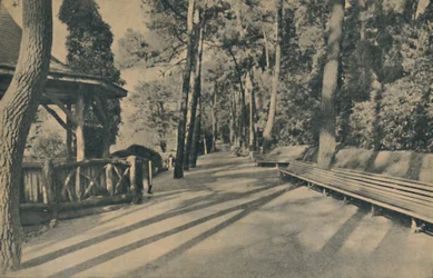 The Pine Walk, 1929