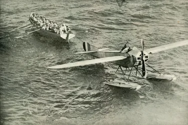 The Return of the Dove to the Ark