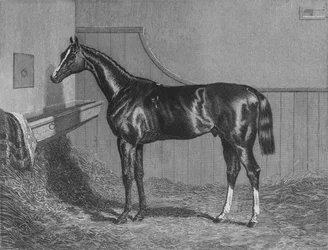 The Rt. Hon. The Earl of Lichfield