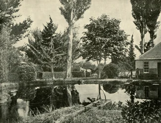 The Salmon Ponds, New Norfolk, 1901