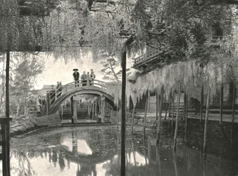 The Shinji-No-Ike Pond and Wisteria, Kameido, Tokyo, Japan