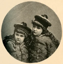 The Snow-Birds Christmas-Tree, 1883