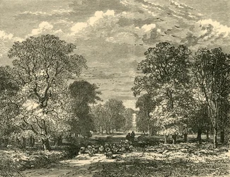 The Southampton Road
