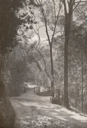 The Spirit of Tijuca
