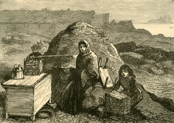 The State of Ireland: An Evicted Family Near Errismore