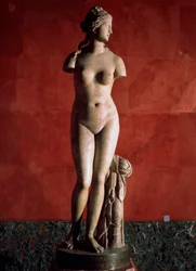 The Venus Tauride or Venus of Tauris, 2nd century AD