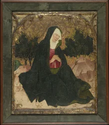 The Virgin