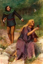 The Old Woman Was Absorbed in Playing with the Bird