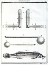 Thermometers