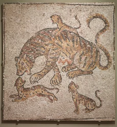 Tigress and Cubs, 300s