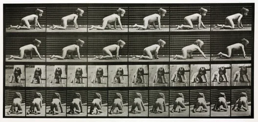 Time-Lapse Photographs of a Child Crawling
