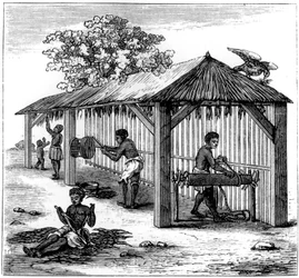Tobacco preparation, 1873