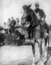 Transport at the Forest of Argonne, France