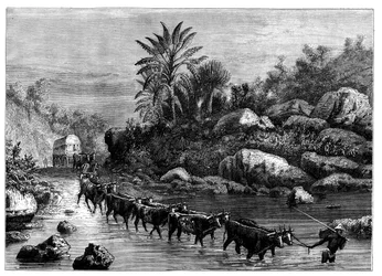Travelling in Griqualand, South Africa, c1890