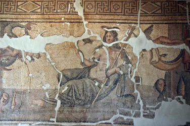 Thetis among the Fish Mosaic, from Iskenderum, Turkey