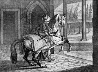 Turkish Sultan