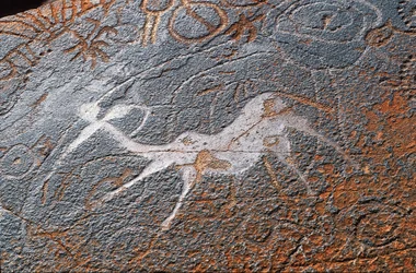 Twyfelfontein Rock Paintings, Damaraland, Namibia