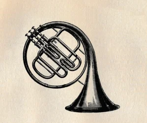 Valve Horn