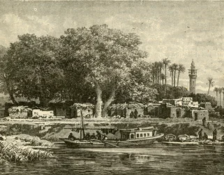 View on the Delta of the Nile, 1890