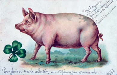 Vintage French Postcard