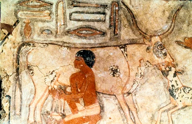 Wall painting from the tomb of Methethi, Saqqara, Ancient Egypt, Old Kingdom