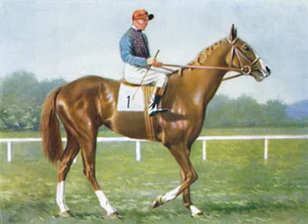 Waterbird, Jockey: E. Smith, 1939