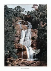 Waterfall in Tijuca, Rio de Janeiro, Brazil, 19th Century