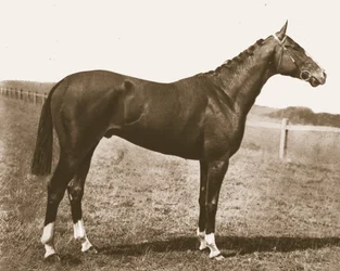 Weathercock, 1911
