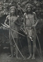 Wedda with Bow and Arrows