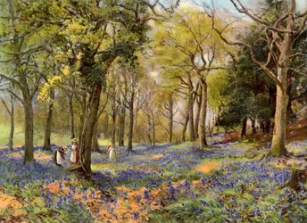 Wild Hyacinths in a Surrey Copse