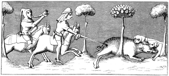 Wild Boar Hunting with Dogs