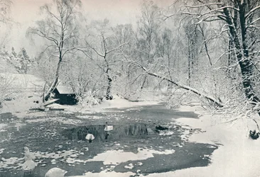 Winter view of the open-air museum at Skansen, c. 1900