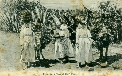 Wood gatherers, Tenerife, Canary Islands, early 20th century