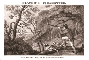 Woodcock-Shooting, 1924