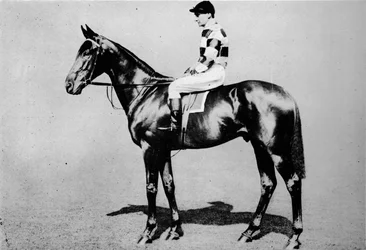 Wool Winder, 1904-1928