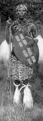 Zulu Chief