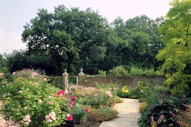 Herbaceous borders