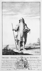 A Druid