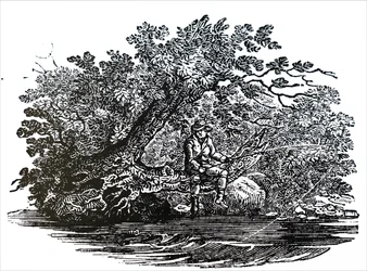 A fisherman