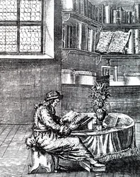 A Gentleman Reading