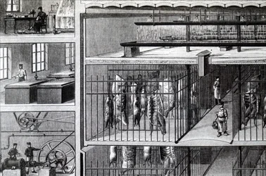 A Refrigerated Warehouse at Mulhouse