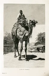 An Egyptian and His Child on a Camel - Illustration from the Atlas of Egypt