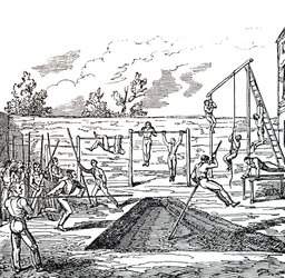 A Gymnastic Class